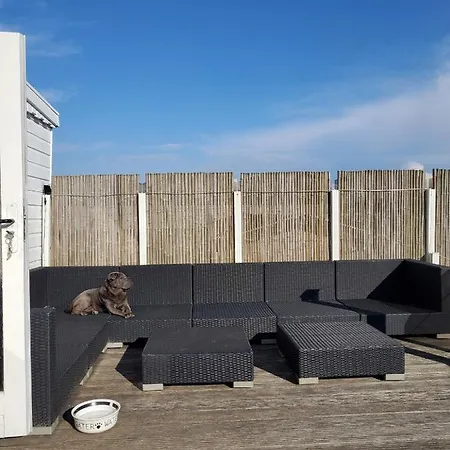 Strandhaus - a63946 Ferienhaus *
